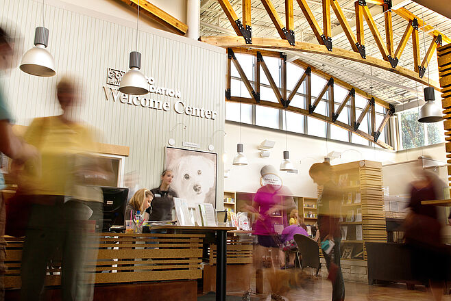 Adoption Center Credit Sebastian Sparenga 3