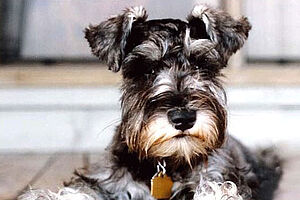 Maddie s Fun 600x400