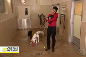 CBS 1 14