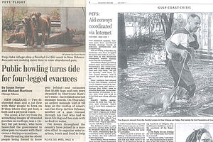Chicago Tribune Sept 10 2005 600x400