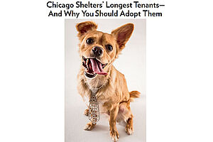 Chicago Magazine 7 1 16