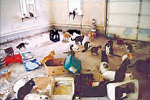 F08 Animal Hoarding