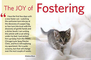 S10 Joy of Fostering