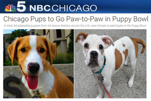 NBC Chicago Jan 7