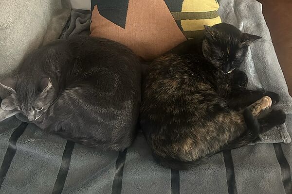 Isha and Marzipan