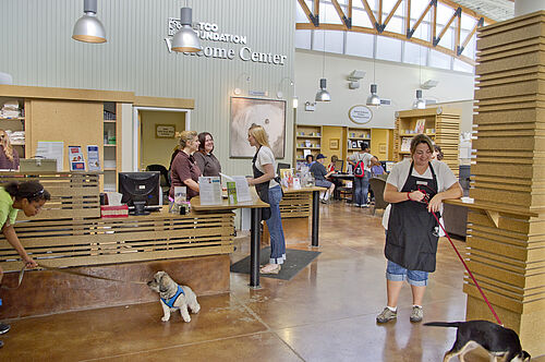 Adoption Center Lobby 2