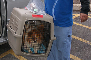 S11 Missouri Puppy Mill