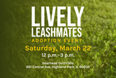 Mariano's Bucktown Love Your Pet Adoption Event