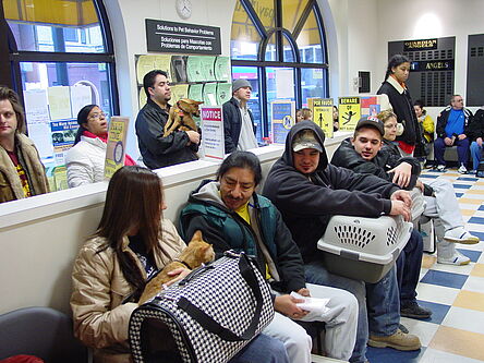 Lurie spay neuter clinic