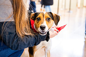 20190427 TagPrints PAWS Adoptathon 600x400