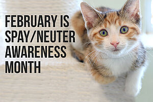 Evelyn Feb Enewsletter 240x160