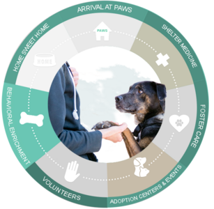 6Journey BehavioralEnrichment