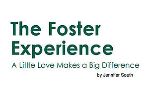 S08 Foster Experience