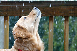 F10 Cold Weather Tips