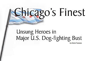 S08 Chicago s Finest