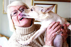 F07 Pets and Your Health
