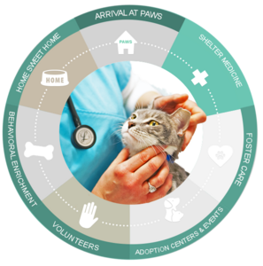 2Journey ShelterMedicine