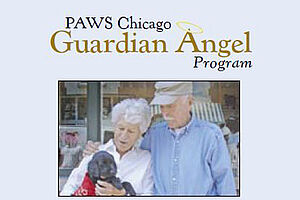 F07 Guardian Angels