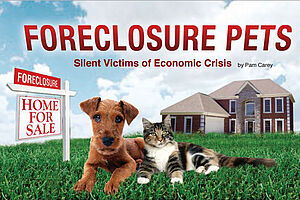 S08 Foreclosure
