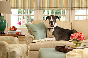 F11 Gone to the Dogs