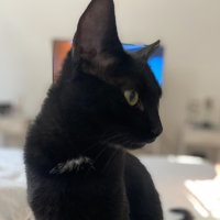 Una