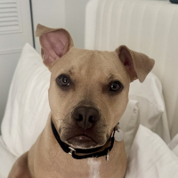 Ella