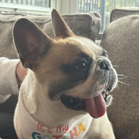 Francisco