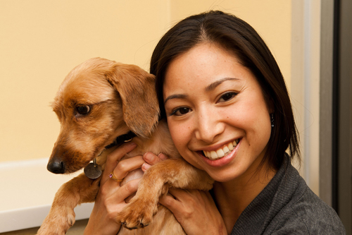 Become a foster