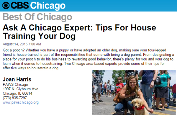 Aug 8 CBS Chicago Ask the Trainer