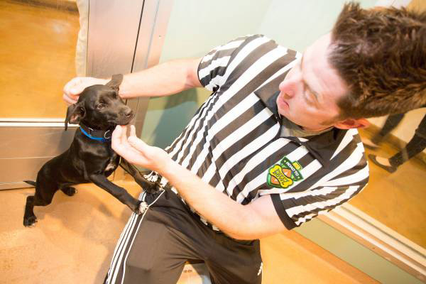 Sun Times April 29 2015 600x400