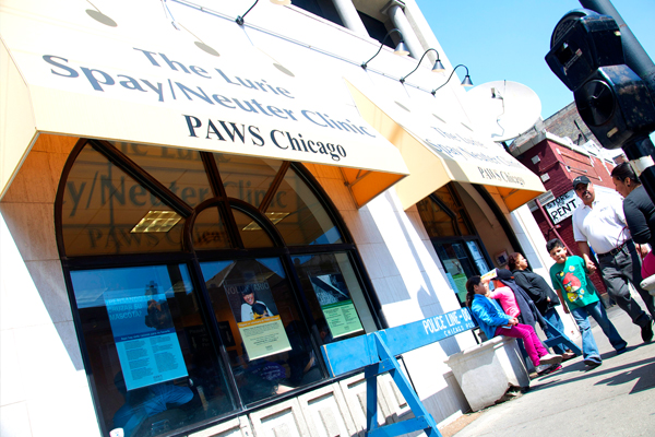 PAWS Chicago Clinic