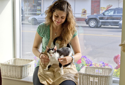 Volunteer cat