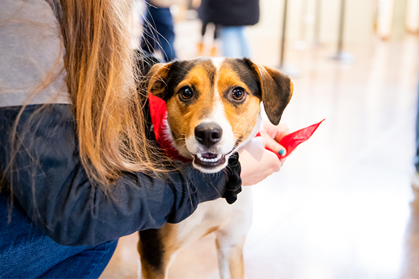 20190427 TagPrints PAWS Adoptathon 600x400