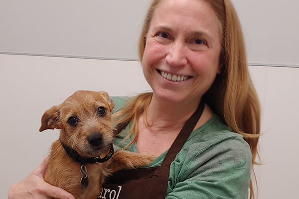 Carol blog