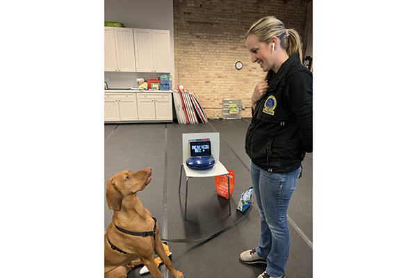 PAWS Chicago Trainer Kristina Finney 2