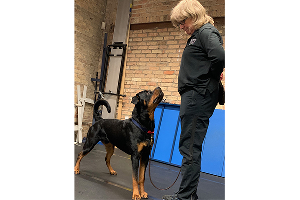 PAWS Chicago Trainer Sharon Cierniak Pallo 2