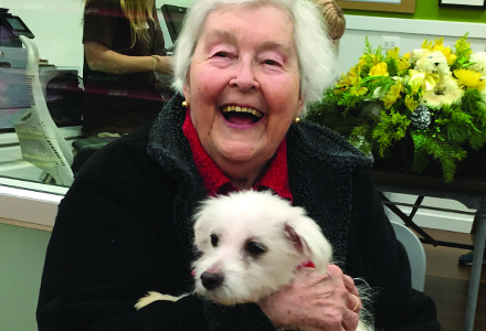 Adoptions440